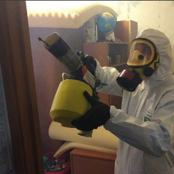 Уничтожение клопов в квартире. Турово
